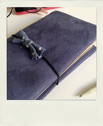 Buldori - Organiseur su&eacute;dine bleu + carnets